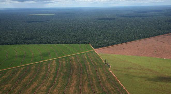 En Defensa De La Ley De Tierras 360 Radio 5874