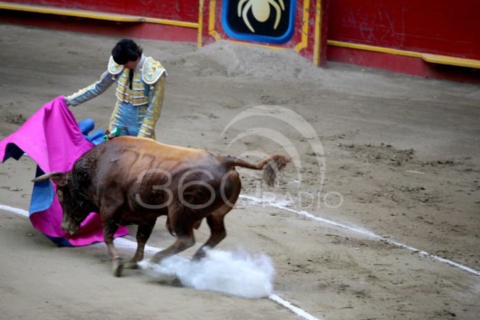 feria taurina