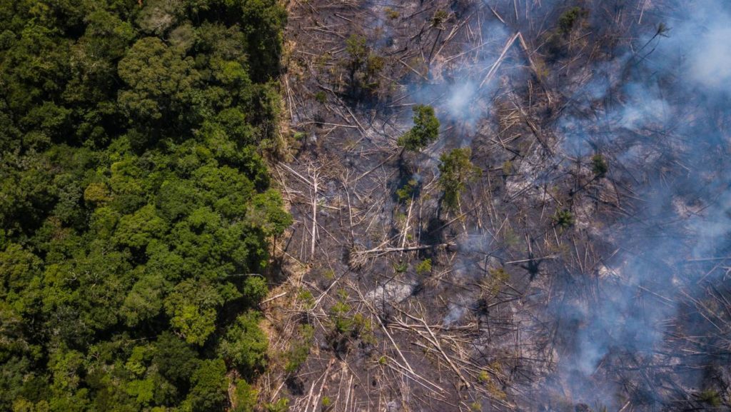 Incendio Amazonas