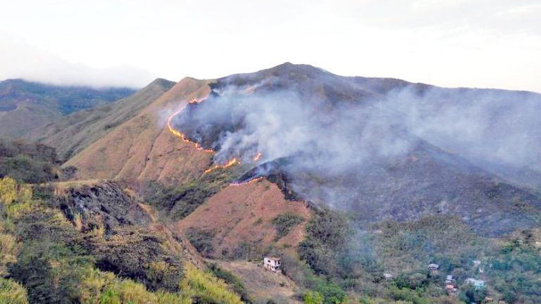 Incendios forestales en el Valle han consumido más de dos mil hectáreas