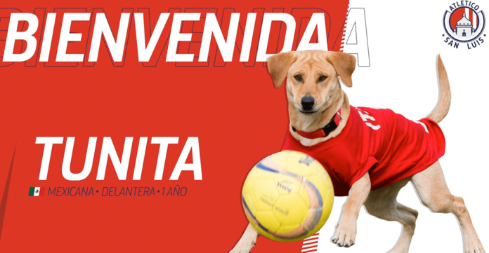 Atletico-San-Luis-anuncio-a-Tunita-como-su-refuerzo-para-el-Clausura-2020