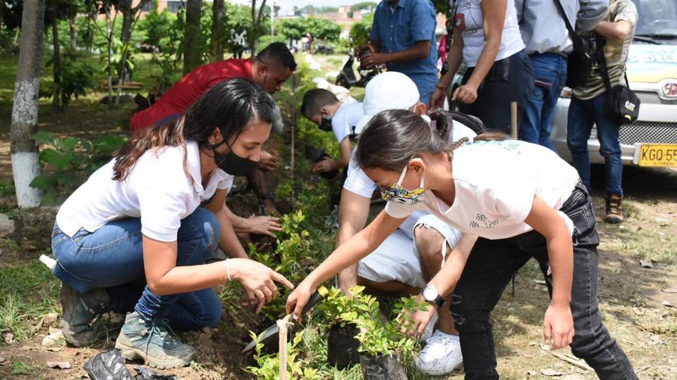 ¡Sembratón!: En Tolima siembran mil plantas por cada municipio 1 HLLICAIZ5NFJJGE5U6MGR2KYKQ