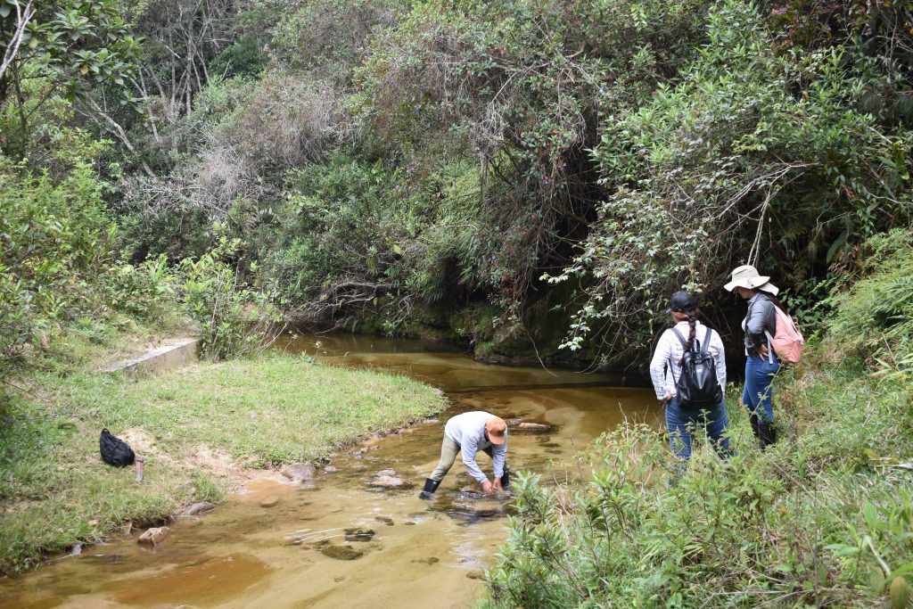 Corantioquia prorrogó por 50 años a EPM la concesión de agua para generar energía 1 Acciones de educacion y cuidado ambiental EPM 7
