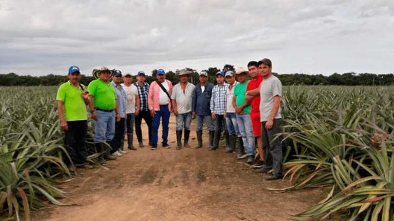 Alivios financieros a productores de Cundinamarca afectados por temporada de lluvias