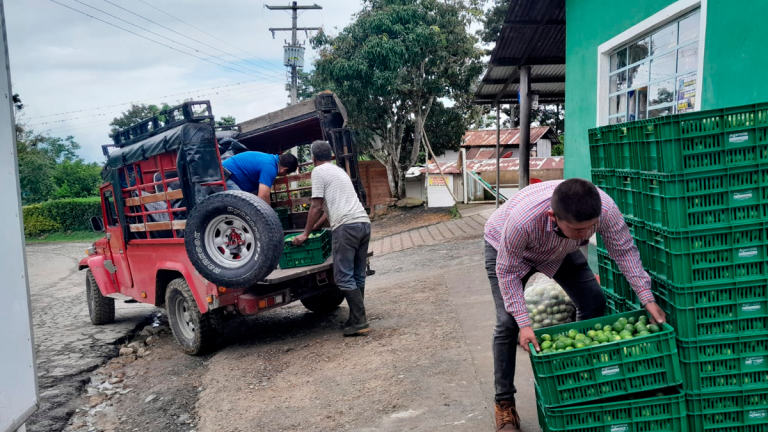 Misión Rescate: la estrategia en Cundinamarca para salvar cosechas de campesinos