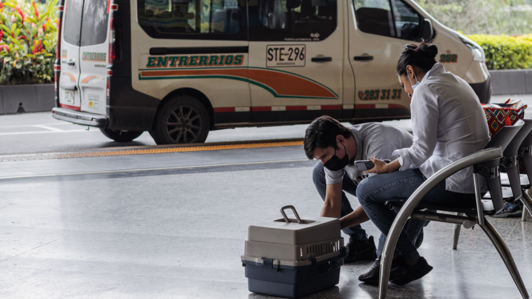 Recomendaciones Alcaldía de Medellín