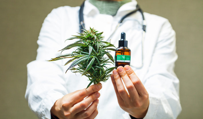 Dr. Gea, la plataforma en línea para comprar cannabis de uso medicinal