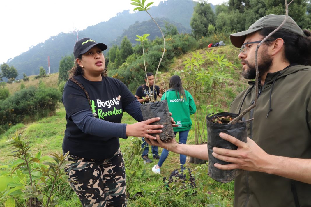 Este fin de semana se desarrollo una gran 'Sembratón' en Bogotá
