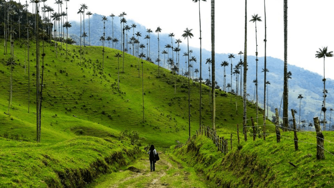 Día Mundial Del Turismo