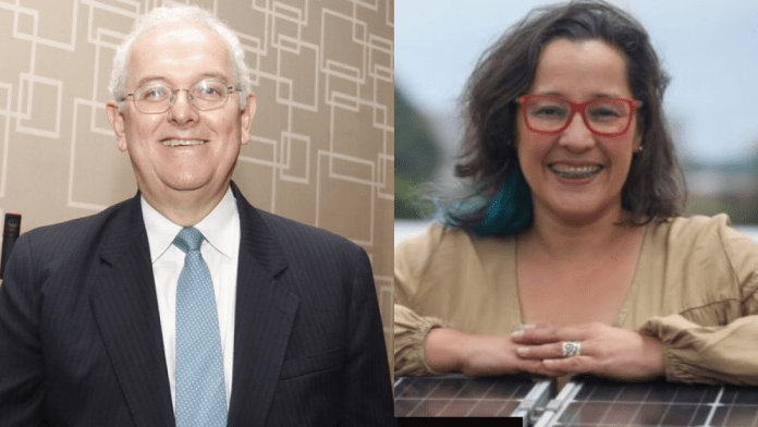 Declaraciones de viceministra de minas y energía
