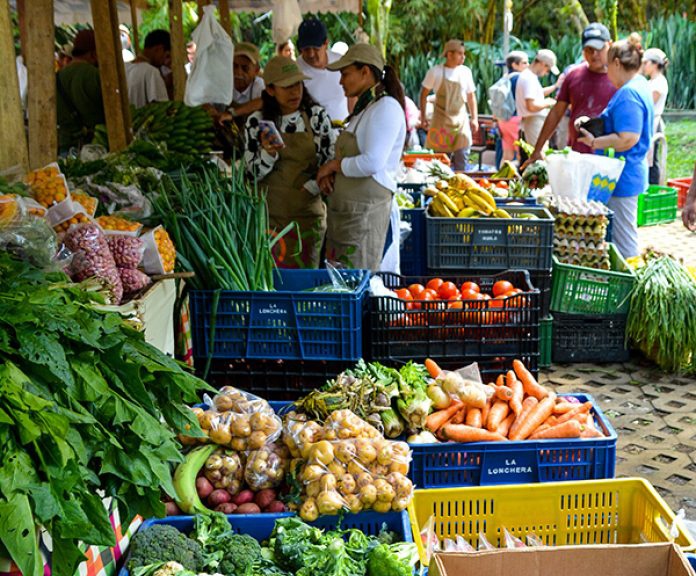 29.000 personas se han beneficiado este año con programas de seguridad alimentaria en Medellín 1 Mercados Campesinos 1