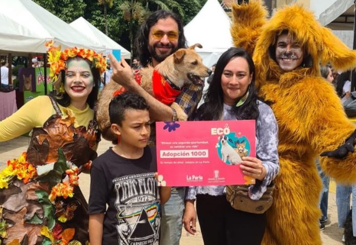 1000 mascotas han sido adoptadas