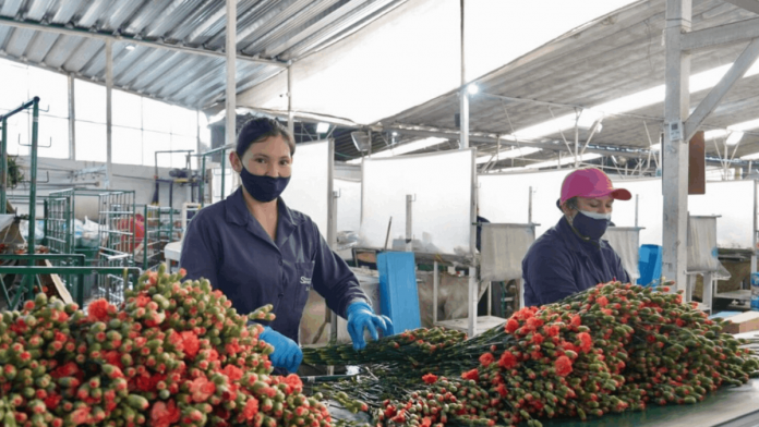 Quindío en exportaciones