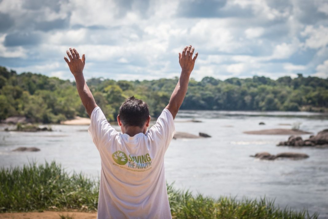 Conozca la alianza que trabaja para sembrar árboles nativos en la Amazonía