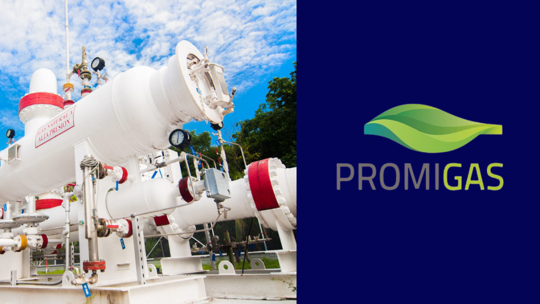 Promigas Inversiones 2023