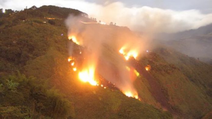 Bogotá declara alerta ambiental por contaminación en el aire