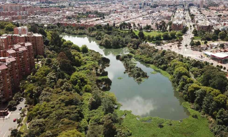Medida preventiva a constructora que ofrecía proyectos en Humedal Córdoba