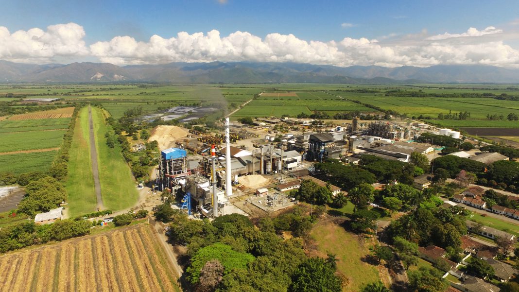 Con un crecimiento del 27% en sus ingresos operacionales, Riopaila Castilla cerró el 2022