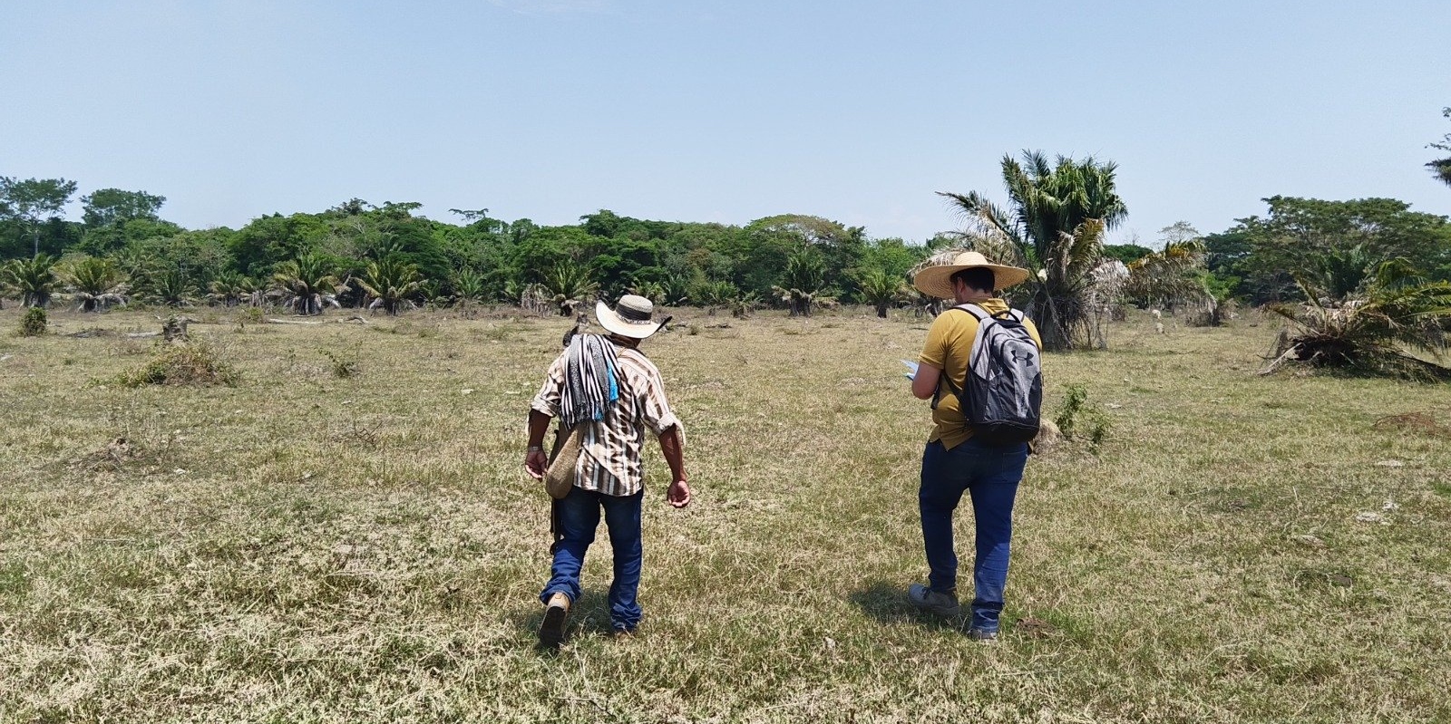 La Agencia Nacional de Tierras radicó demandas para resolver los conflictos de tierras en Colombia