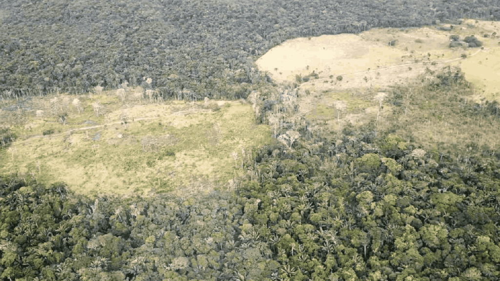 Fabio Arjona, ministro de Ambiente delegado alerta sobre situación de los Parques Nacionales Naturales de Colombia 1 Deforestación en Colombia tuvo una reducción de cerca de 10% durante el 2022