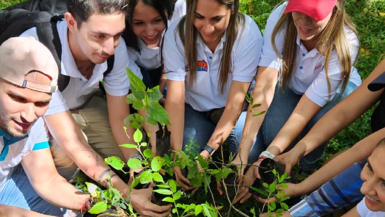 Banco W adelantó jornada de siembra de árboles en Cali, Soacha y Rionegro