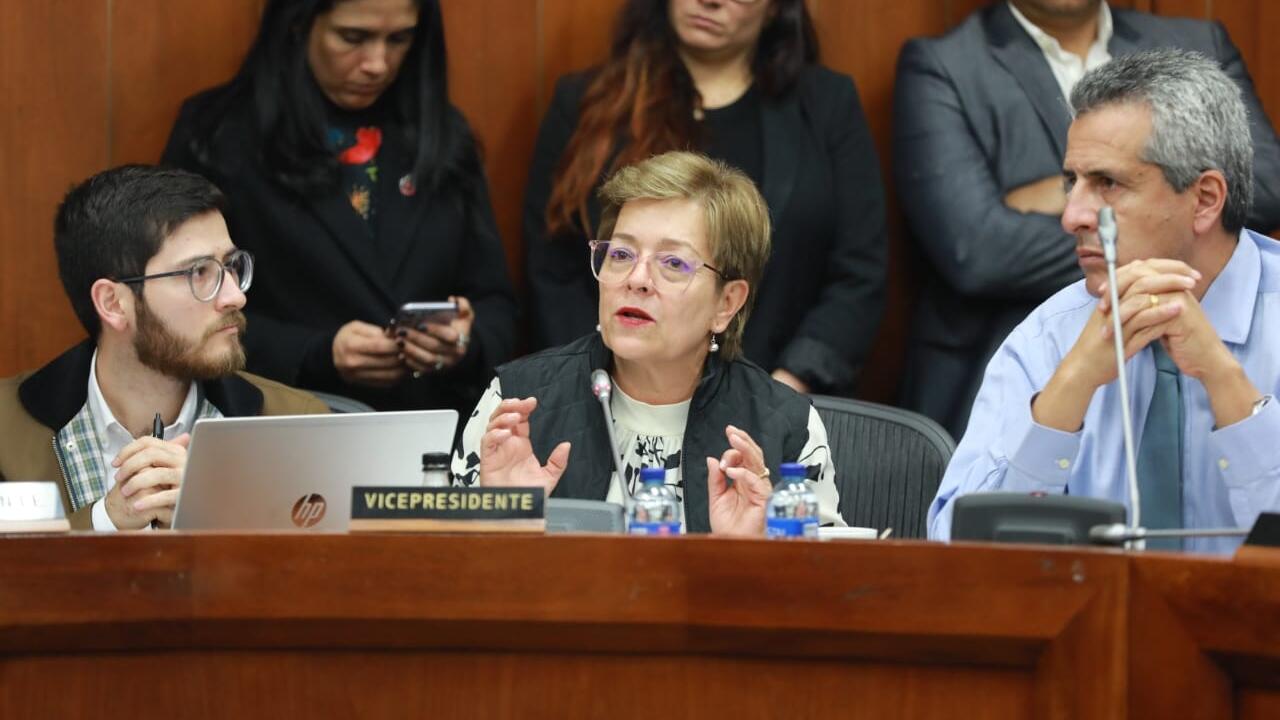 Durante el primer debate en la Comisión VII del Senado ya fueron aprobados 55 artículos de la reforma pensional. FOTO TOMADA DE: MINISTERIO DEL TRABAJO