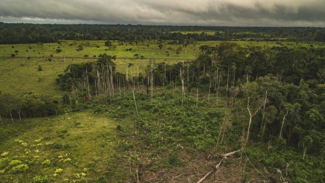 WWF declaró que uno de los puntos más importante para cuidar el medioambiente se basa en caminar y usar la bicicleta. FOTO TOMADA DE: WWF