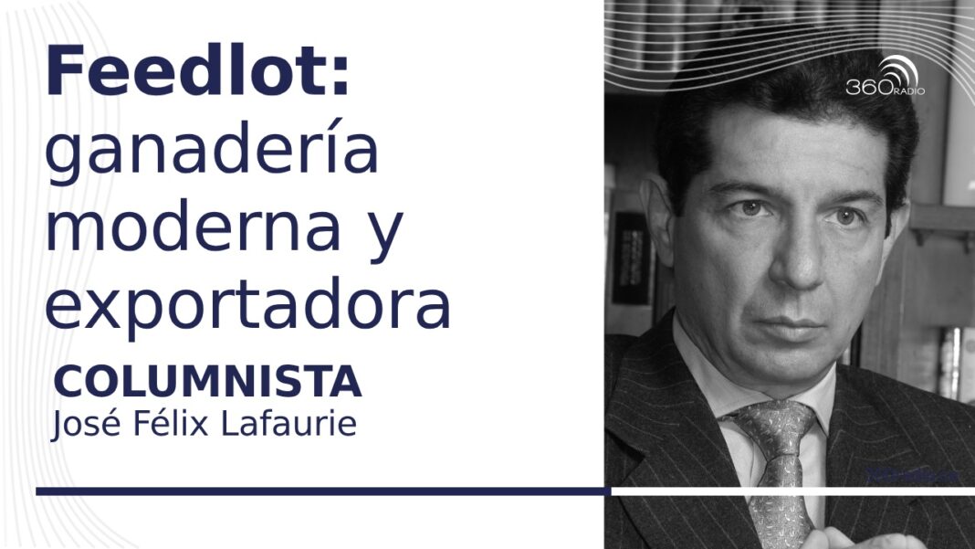 Feedlot Colombia: ganadería moderna y exportadora