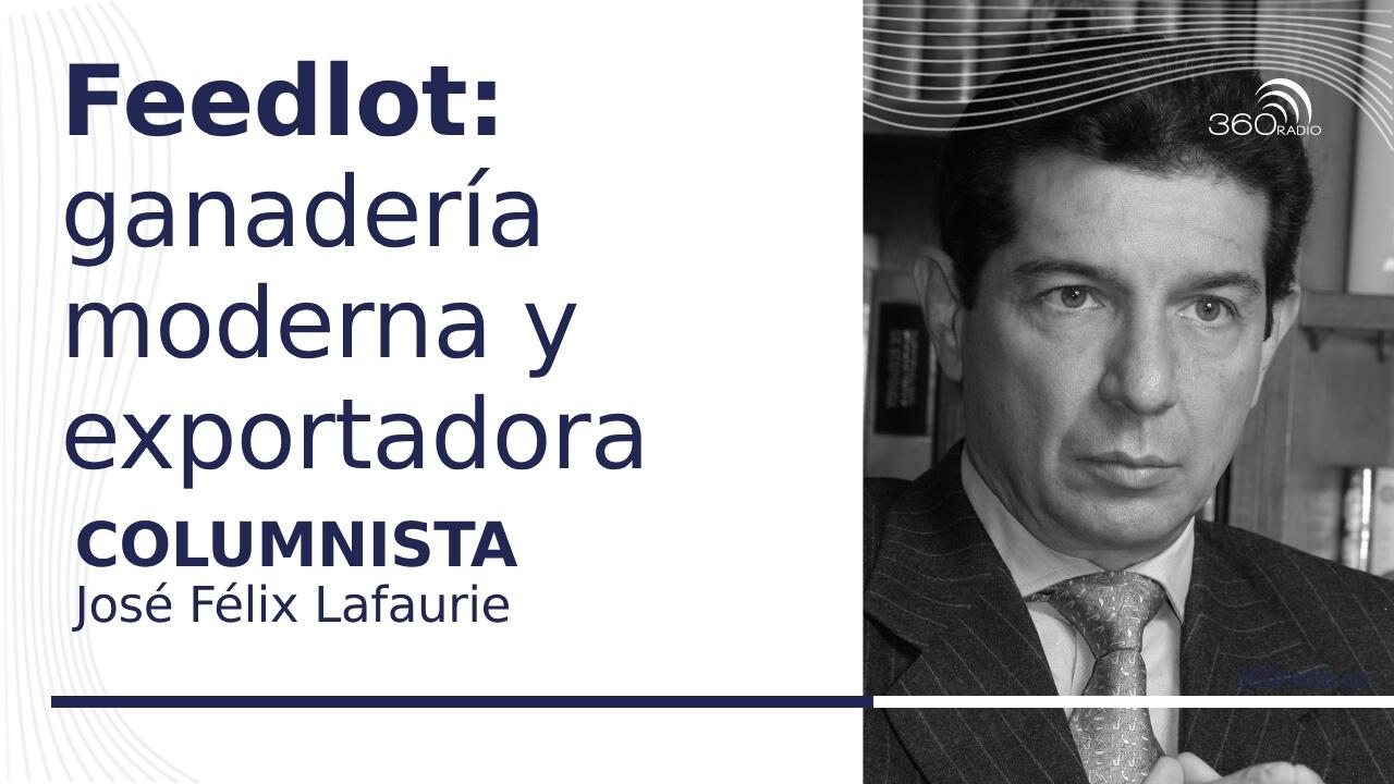 Feedlot Colombia: ganadería moderna y exportadora