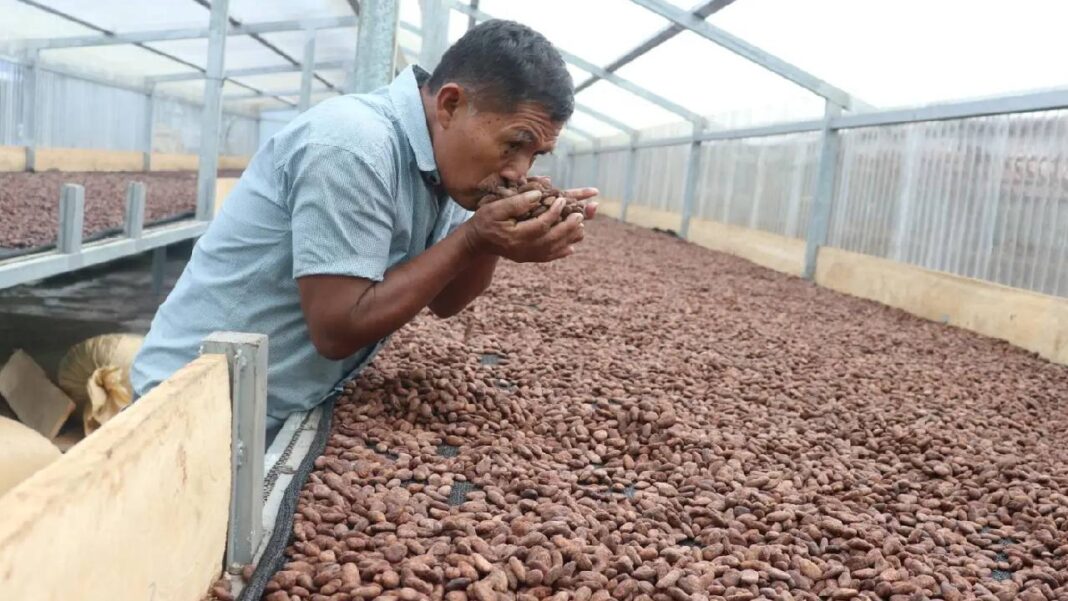 Gran Tierra Energy enviará a productores de Cacao del Putumayo al Salón del Chocolate de París
