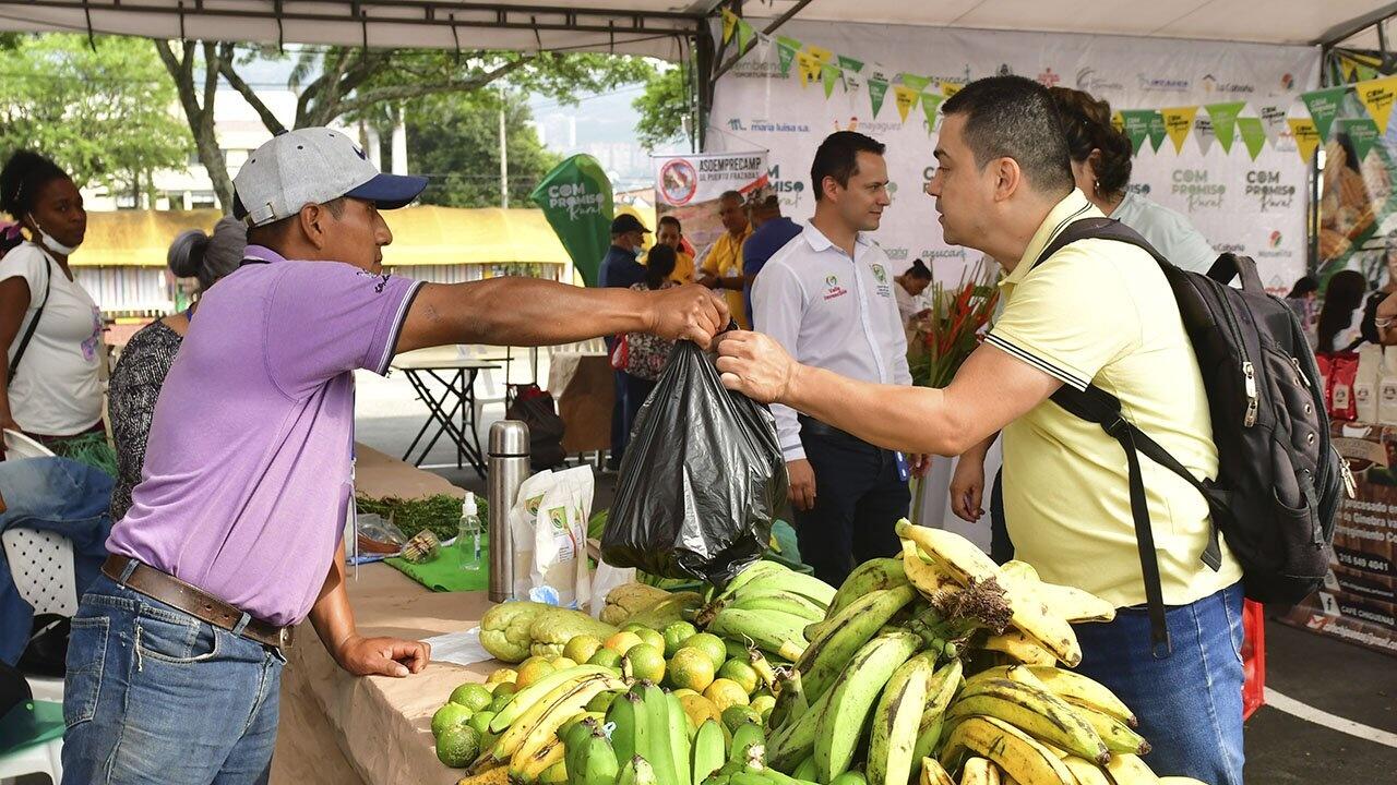 Valle, mercado campesino