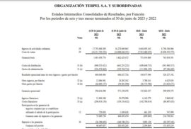 Resultados operacionales Terpel