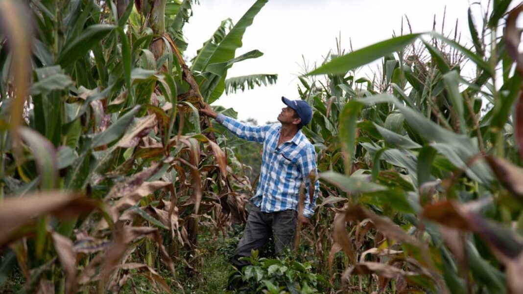 Expropiaciones no, invasiones sí: preocupante amenaza a la propiedad privada en Colombia