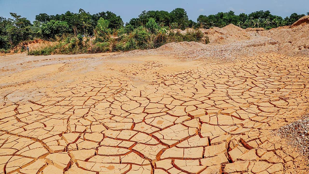 Este es el plan del sector agro para enfrentar la llegada del fenómeno de El Niño