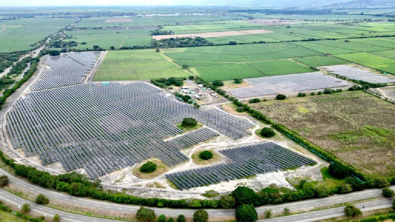 Celsia sigue creciendo: alcanzó 300 MW solares con la granja Palmira 1
