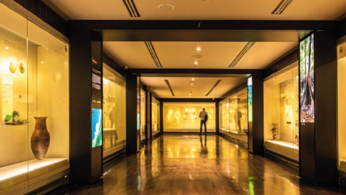 Los 5 Mejores Museos para Visitar en Bogotá: Tesoros Culturales en la Capital Colombiana