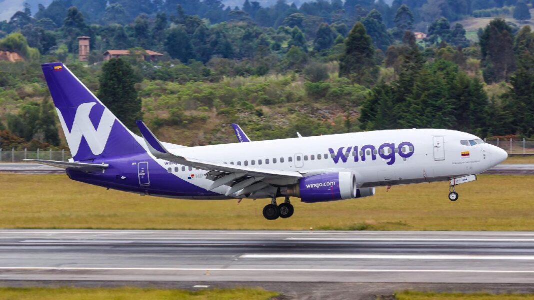 Wingo Semana de receso