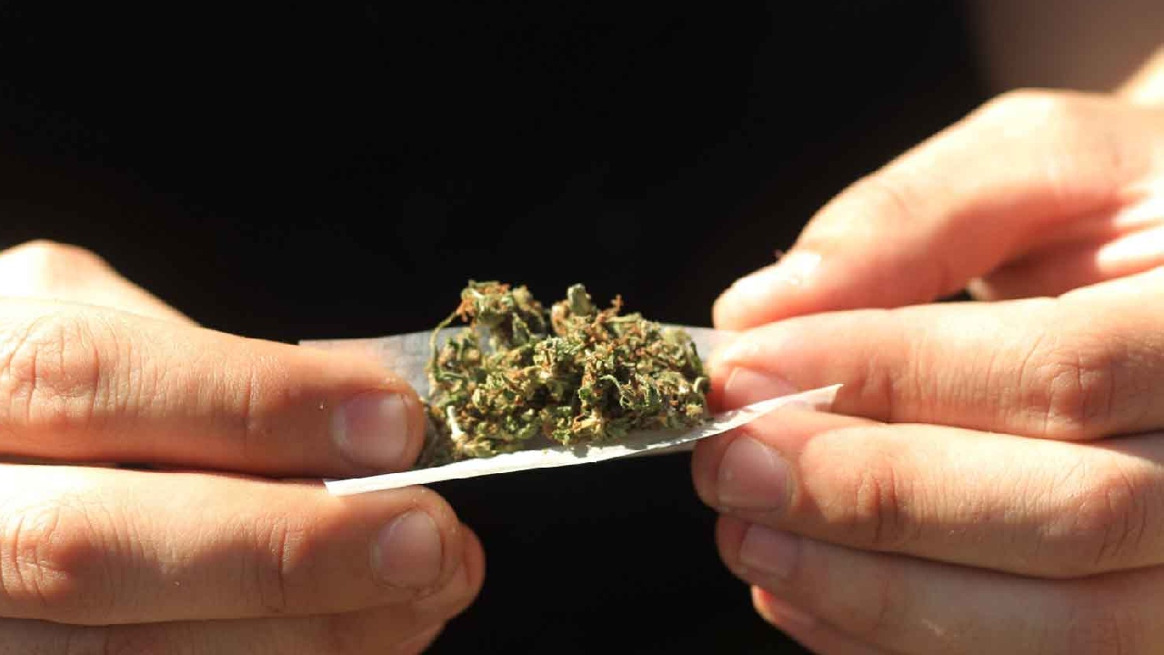 Incoherencia sobre las libertades en medio de las drogas y la alimentación en Colombia