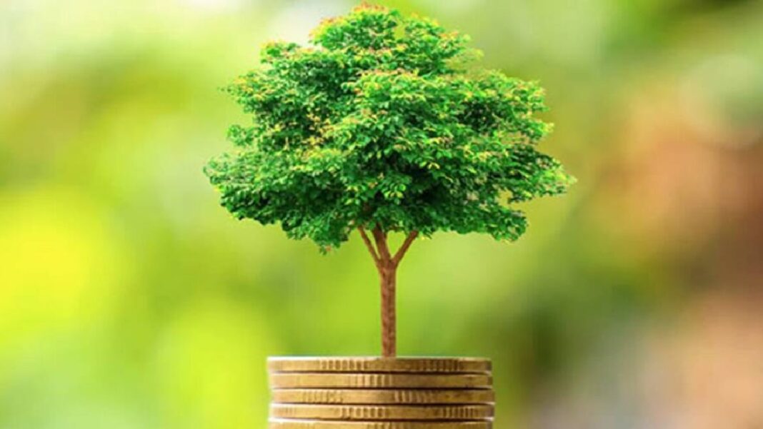 Tes verdes Bonos verdes