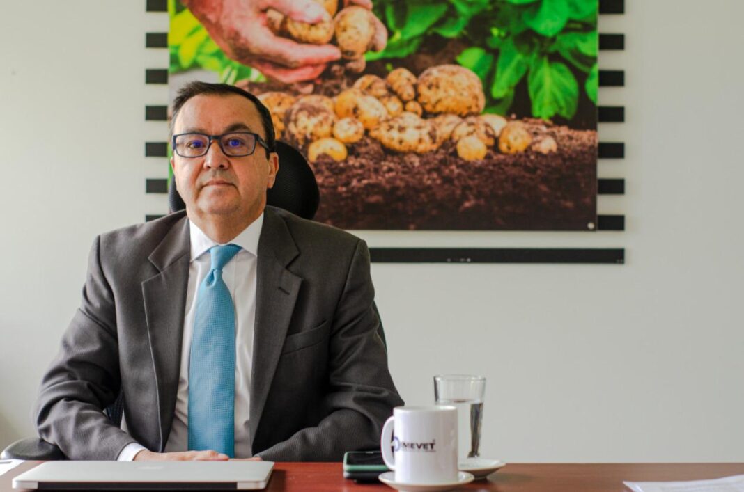 “Consumir papa, pero que sea colombiana”: Germán Palacio, presidente Fedepapa