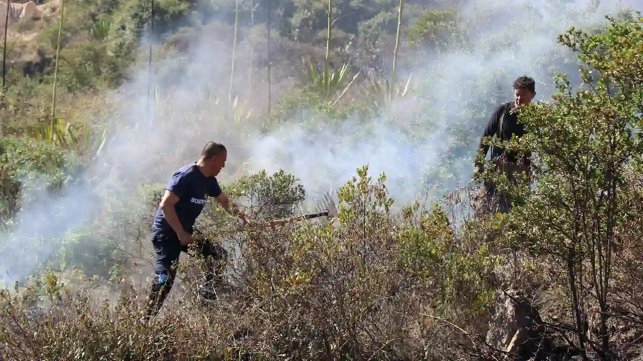 Millones por metro cuadrado: el impacto económico de los incendios forestales