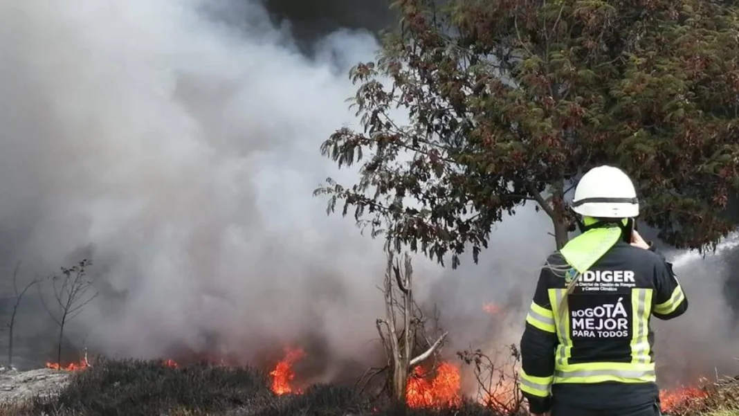 Los incendios forestales en el país han acrecentado la crisis que atraviesa el Gobierno Nacional por la reducción del 25% al Presupuesto de Bomberos para el 2024 en Colombia.