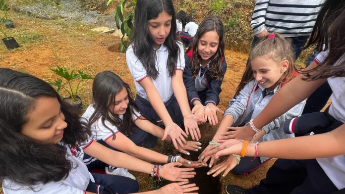 En el inicio de la temporada escolar 2024, expertos del Liceo Francés de Medellín comparten claves cruciales para una transición exitosa de los niños a nuevos colegios.