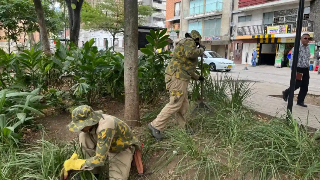 Alcaldía de Medellín realiza manteamiento en jardines de la ciudad para volver a ser la “tacita de plata”