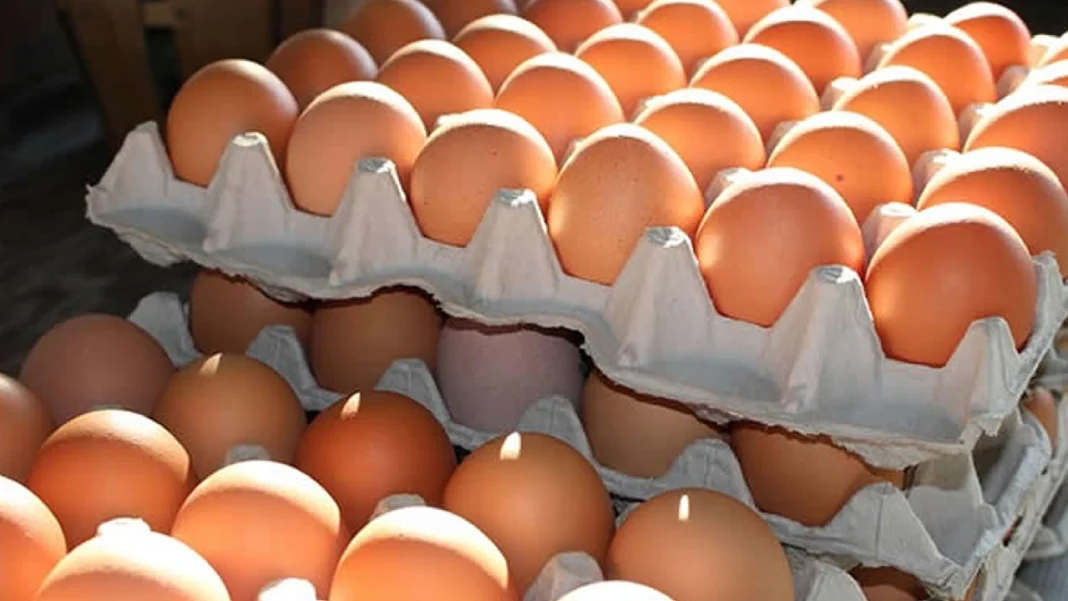 ¿Por qué está bajando el precio del huevo en Colombia?
