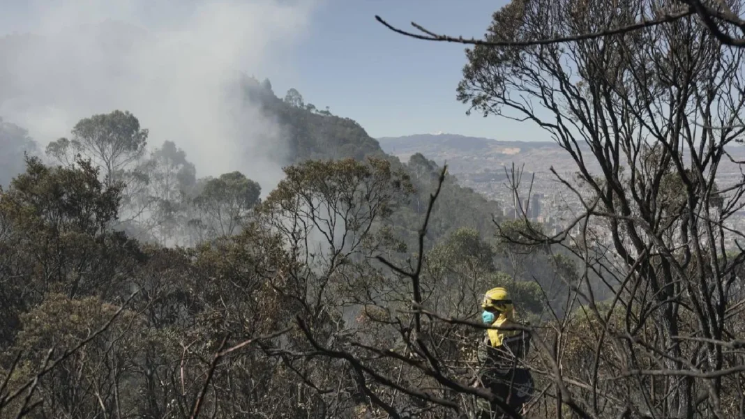 UNGRD: actualmente hay 21 incendios forestales activos en varios sectores del país