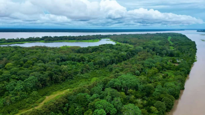 El Ministerio de Transporte impulsa el desarrollo del Amazonas con inversiones millonarias en infraestructura y movilidad, beneficiando a comunidades locales.
