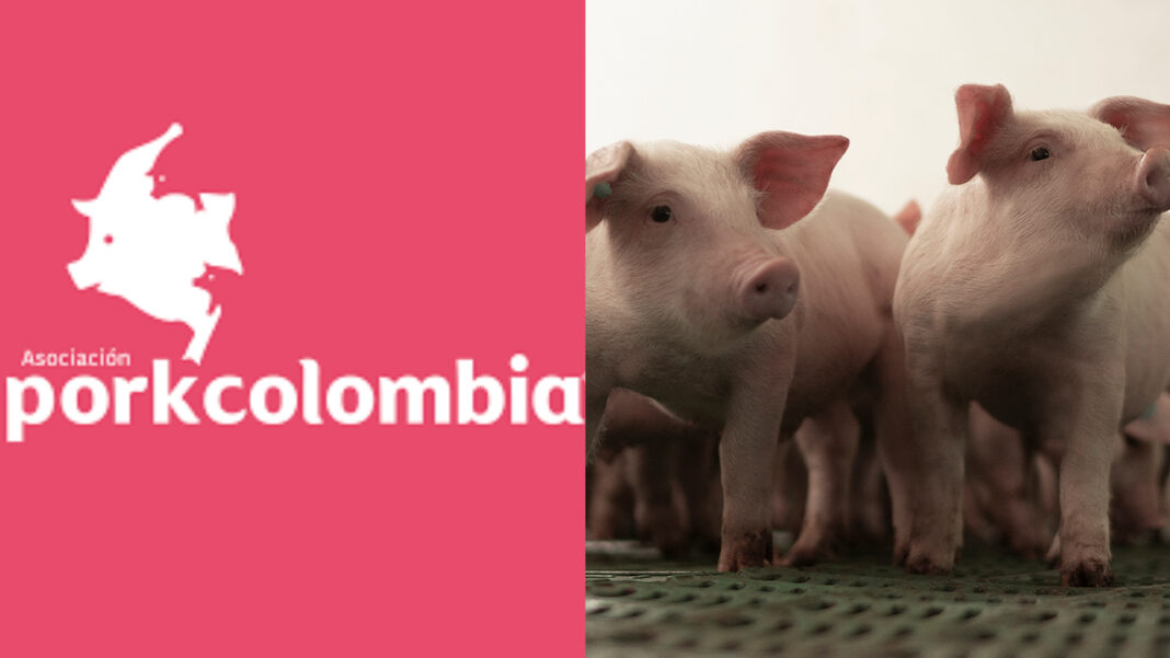 De acuerdo con PorkColombia el consumo de carne de cerdo por persona en Colombia aumentó a 13,5 kg en 2023.