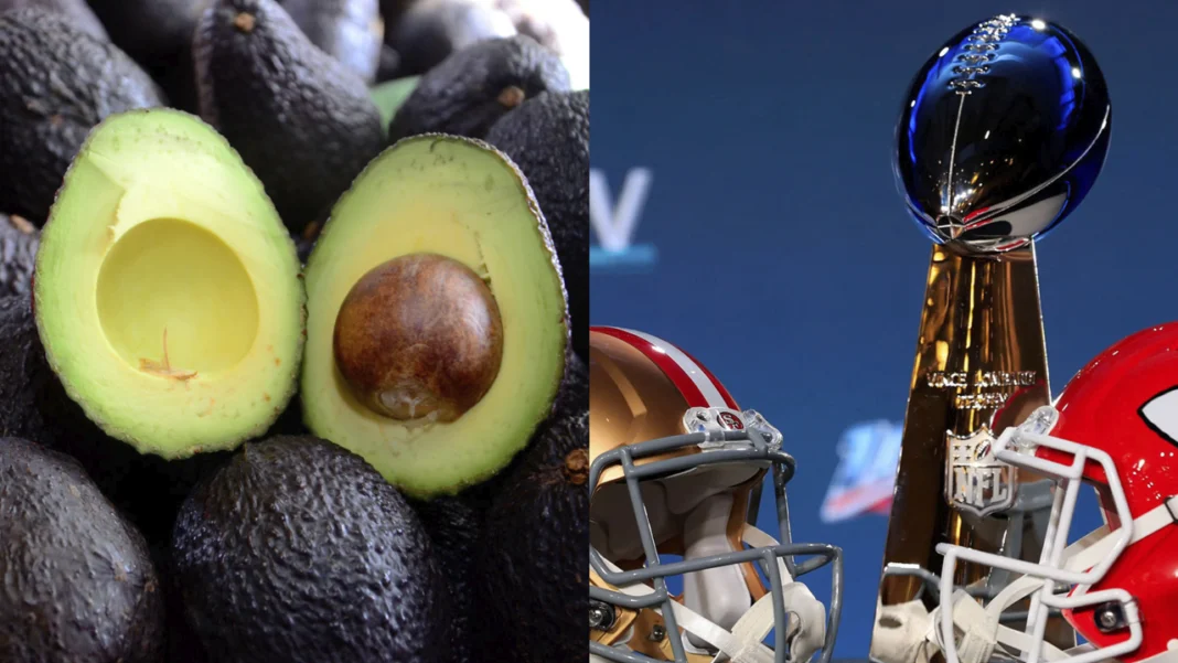 El Super Bowl, el evento deportivo más importante de los EE. UU., contará con la presencia de un colombiano muy relevante en el mercado americano: el aguacate hass. Colombia exportará 1.496 toneladas en tres fases para el espectáculo del fútbol americano en América.