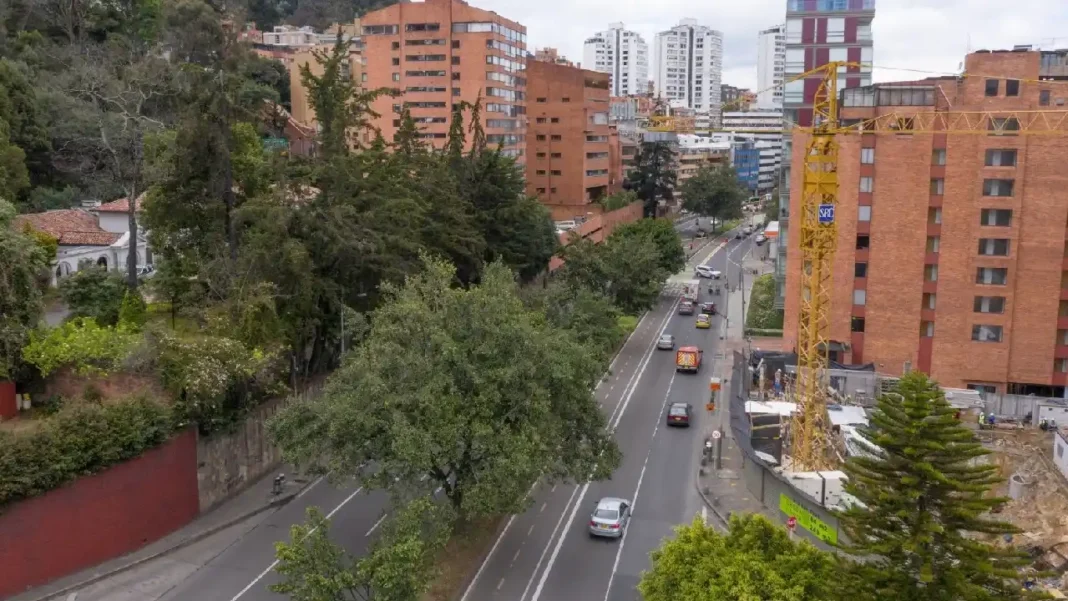 IDU y Alcaldía de Bogotá suspenden licitación de los tramos 1 y 2 del Corredor Verde de la Séptima